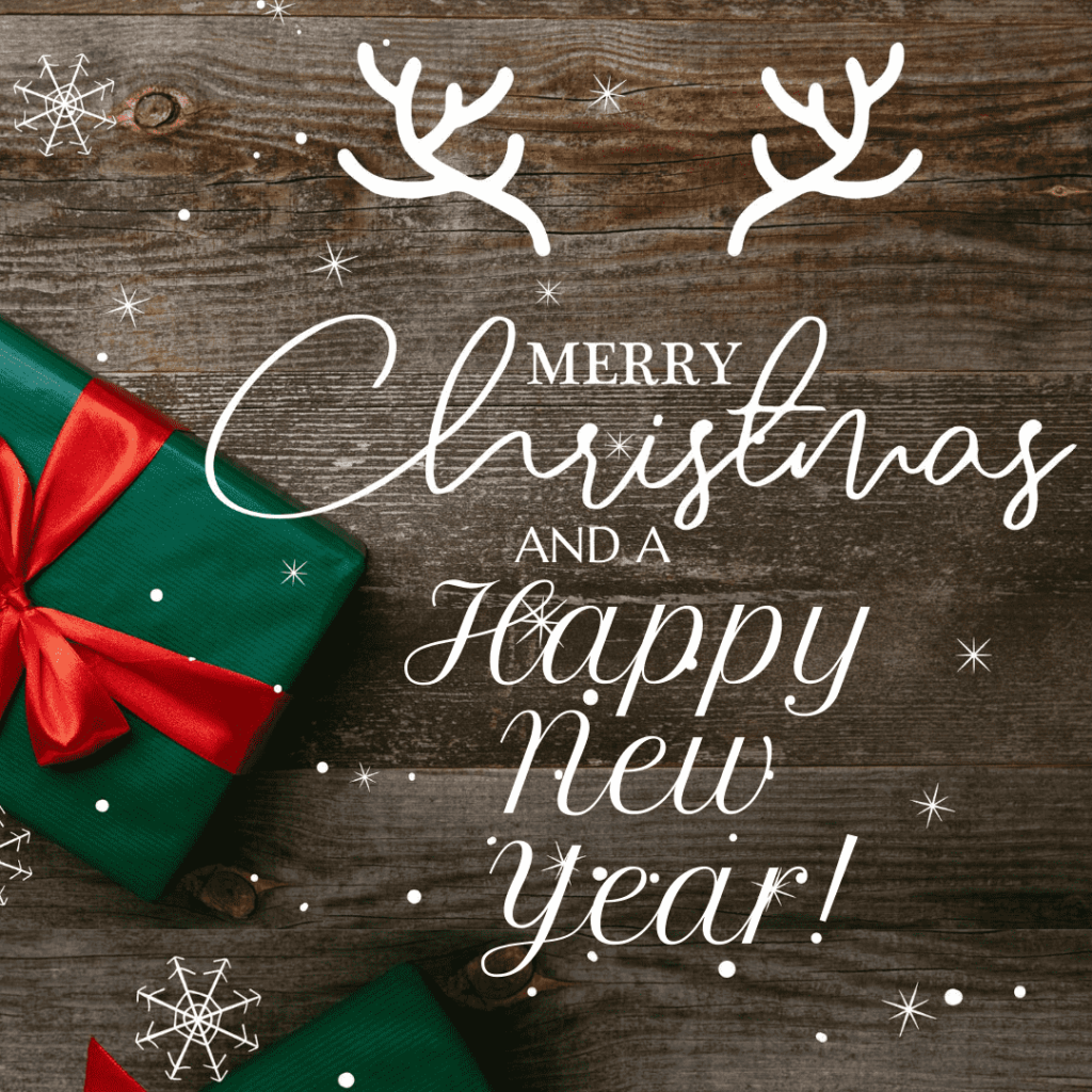 merry christmas from belleair storage